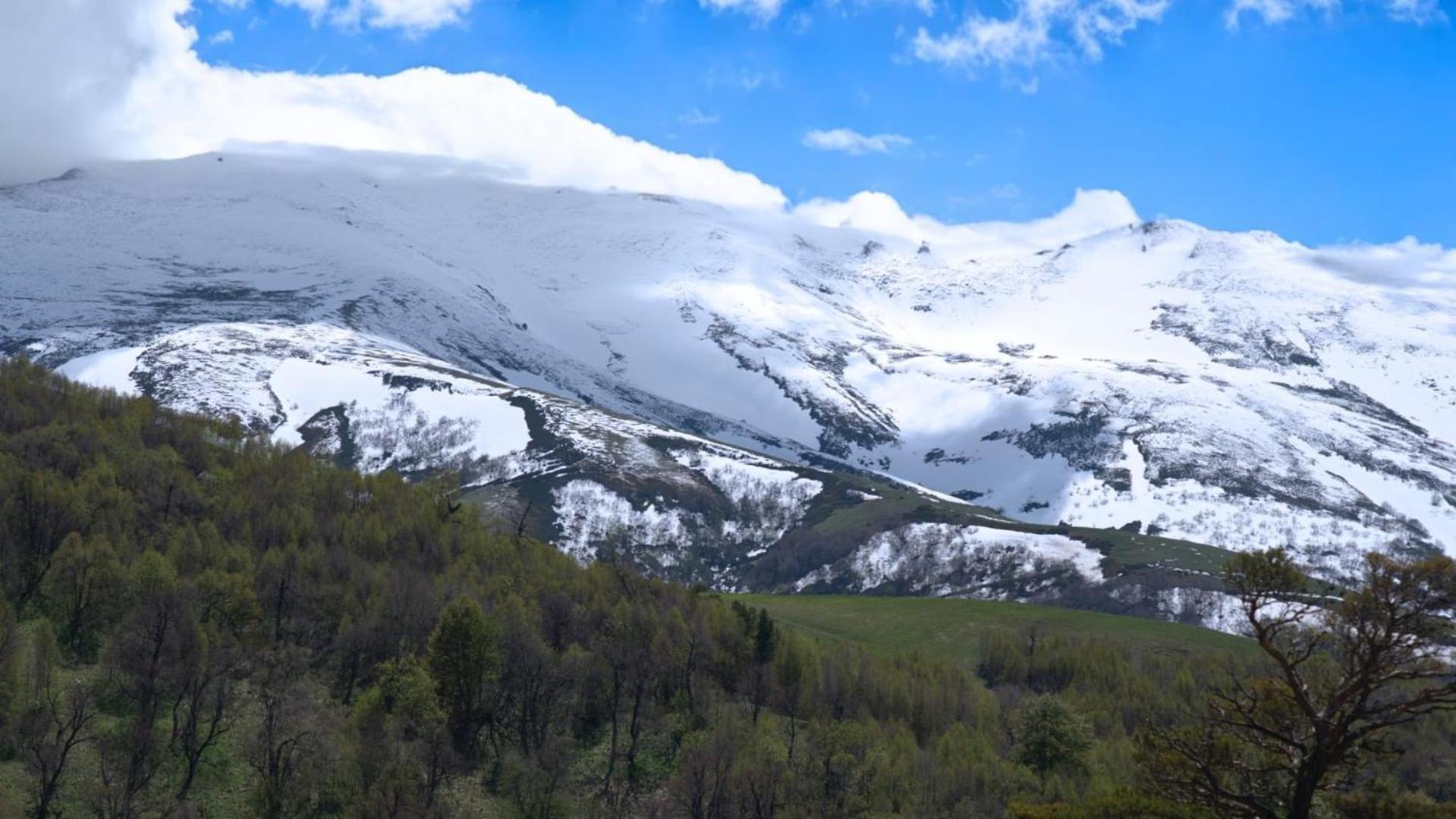 Kristal Bakuriani Resort C Block 202 Dış mekan fotoğraf
